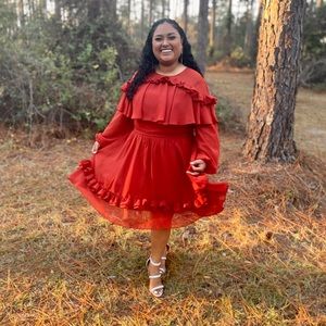 Chiffon Dress Size 18W